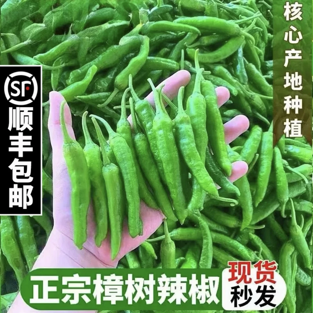 【顺丰包邮】樟树原种辣椒农家自种湖南品种微辣软糯鲜辣椒虎皮辣椒