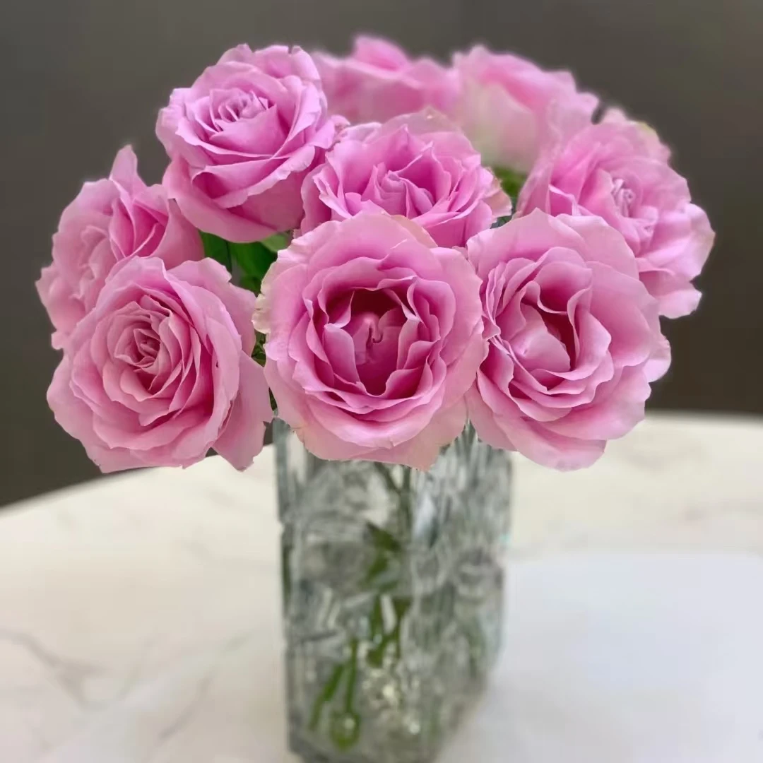 10枝方德荷冠娇兰玫瑰（杆子细花头小）云南鲜花直发室内水培鲜切花