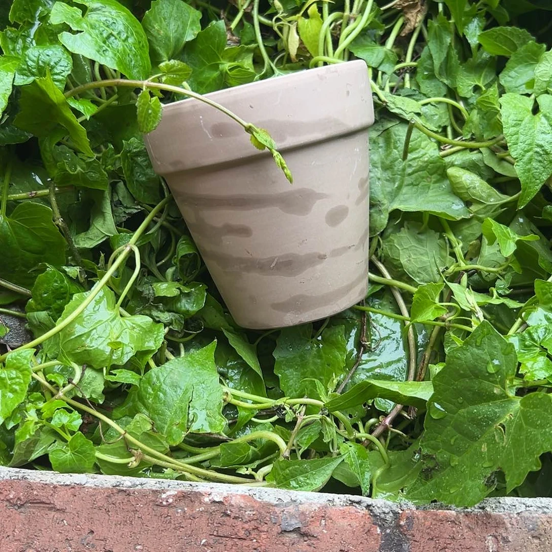 瑕疵灰陶13口12高1个