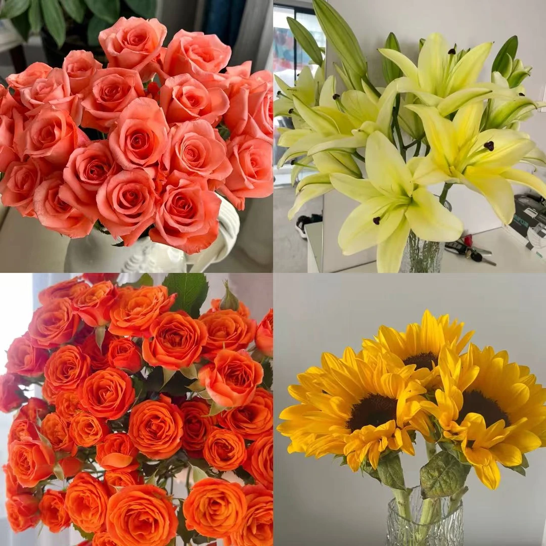 【粉玫瑰黄天霸橙芭比向日葵组合】 云南基地直发鲜花 家庭客厅插花