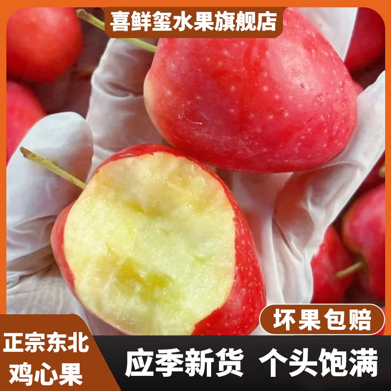【中大专属东北鸡心果】新鲜应季水果现摘现发产地直发中通快递DR