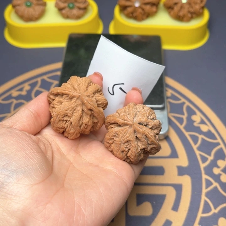 文玩核桃把件39大粗筋