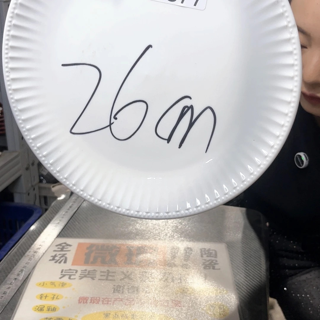 瓷片377         2个