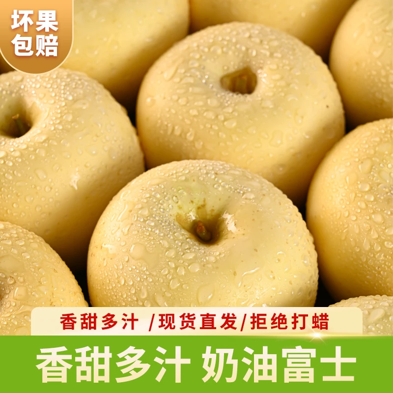 山东烟台黄金奶油富士4.5斤装苹果新鲜水果冰糖心脆甜白苹果
