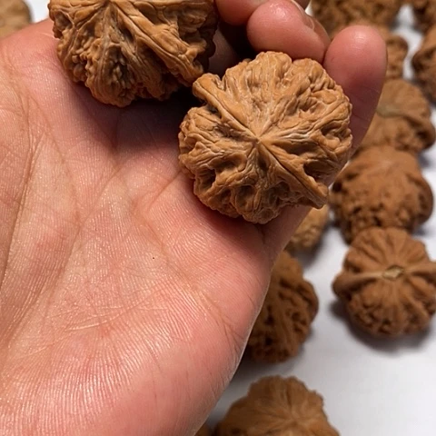 吊坠文玩核桃37尺寸全品粗筋