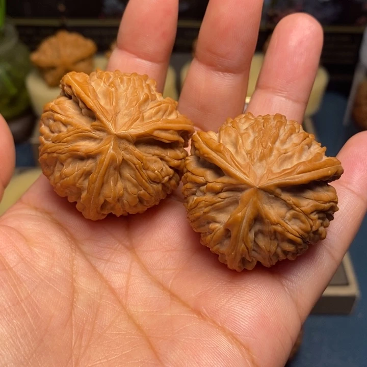 【闪购商品】把件文玩核桃御龙正奔