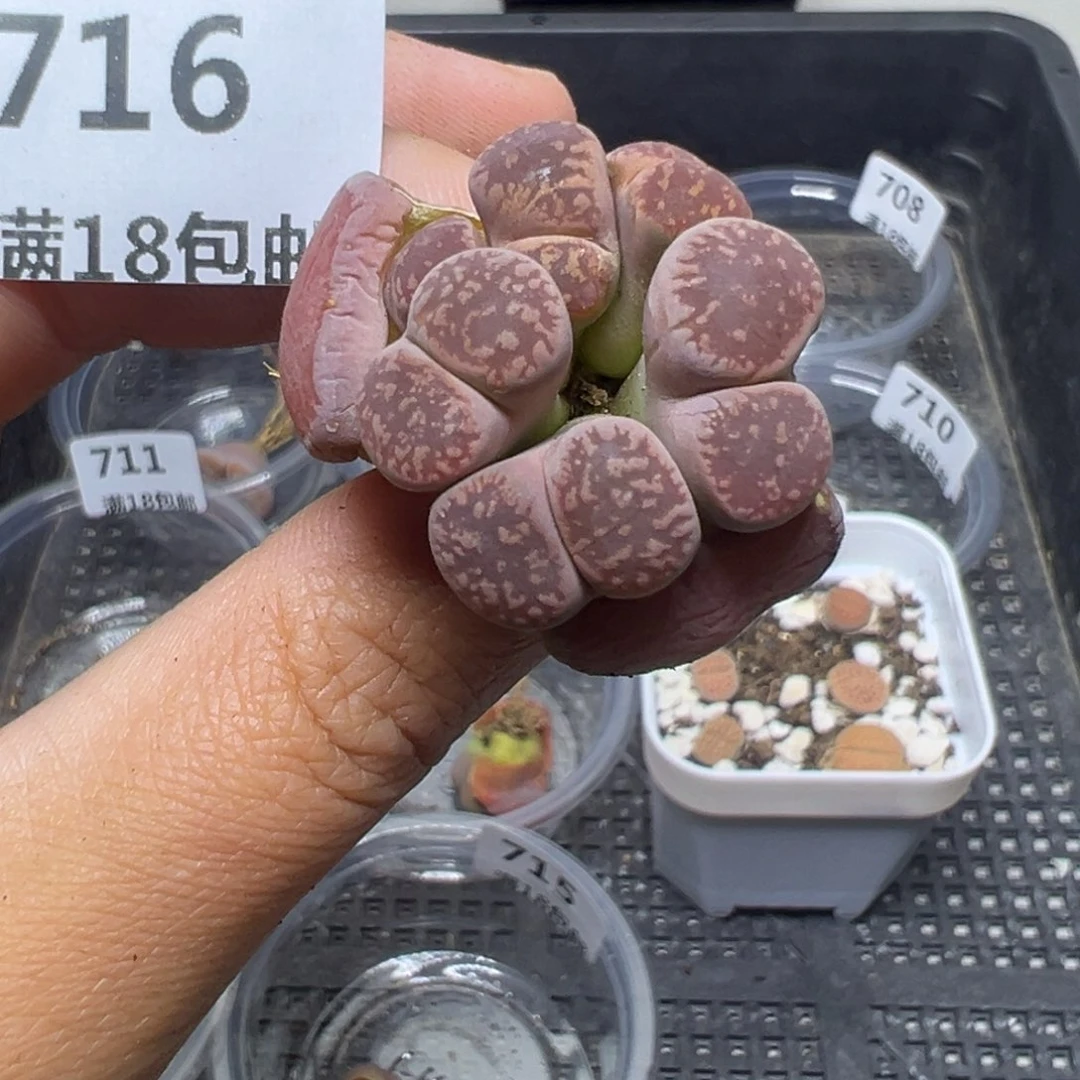 【闪购商品】716…..