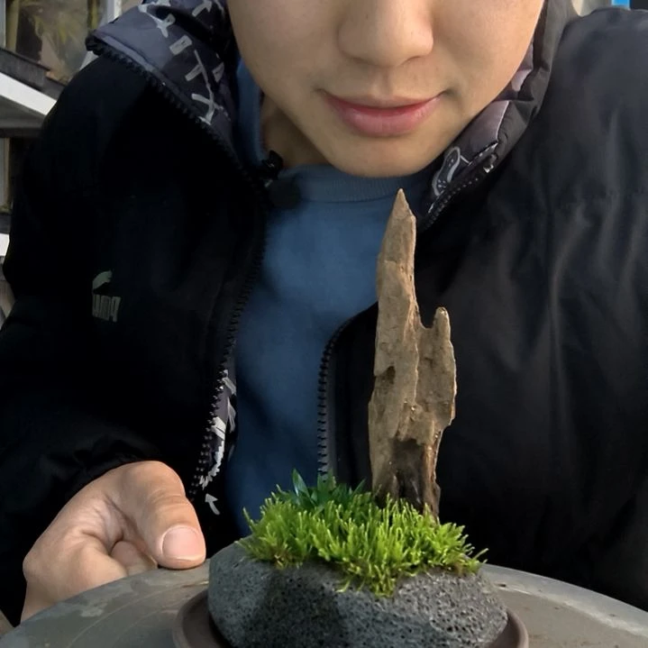 超****喵小盆景小植物一物一拍121