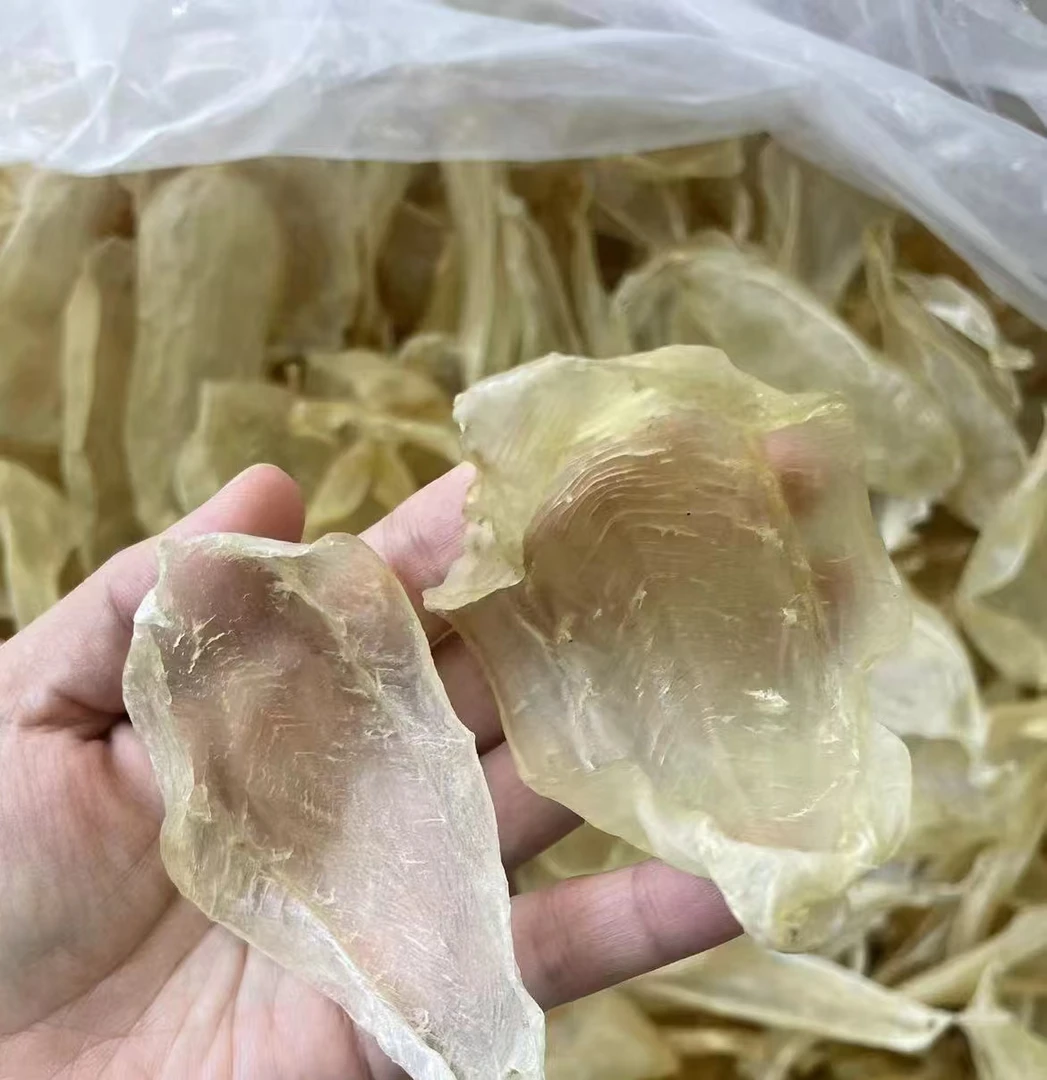 (白花胶) 40头丑胶链接，福利炸炸掉