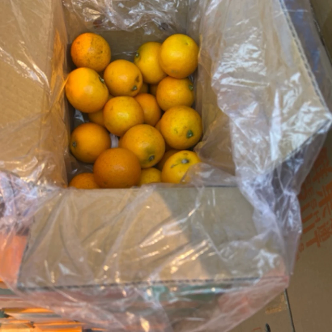 【小时达专属】冰糖橙