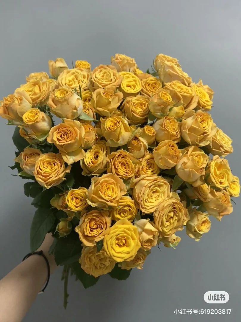 【好物鲜花】金色麦浪10支 两单包邮