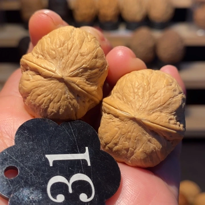 木质类小团圆32尺寸