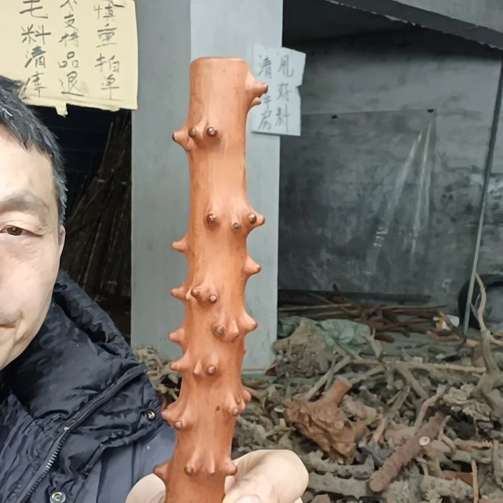 稳定木杰*贵州檬子木   铁马鞭   根艺  半成品