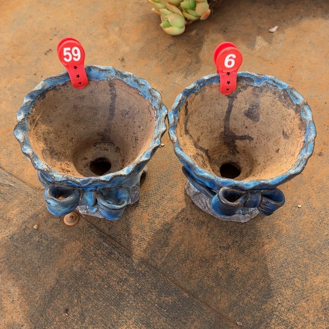 小***哥59。 6。   花盆两个瑕