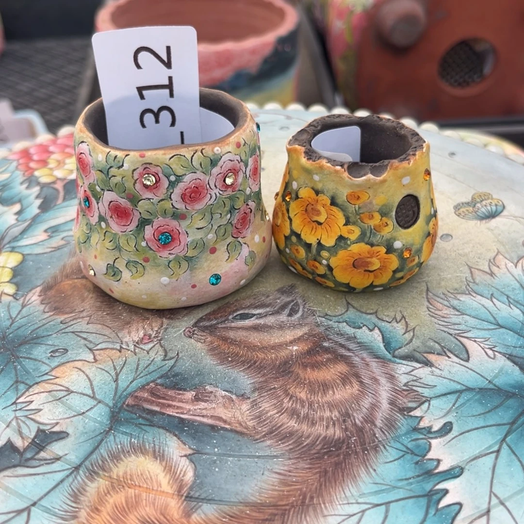 l***1312多肉花盆155元2个