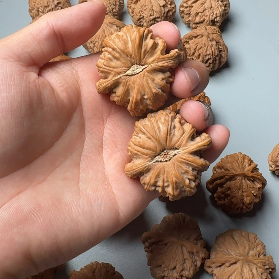 全品42白狮子123456789