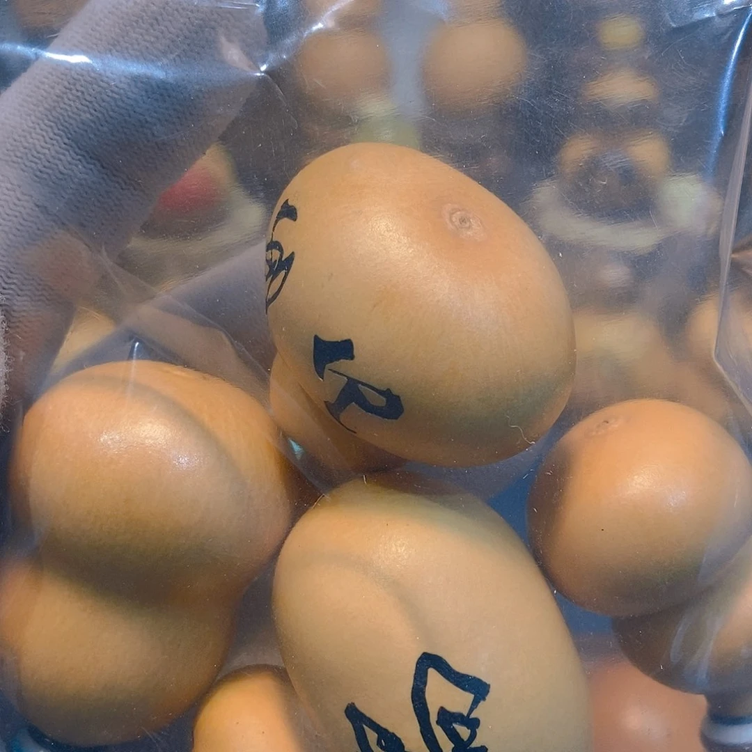 2****1葫芦葫芦葫芦葫芦