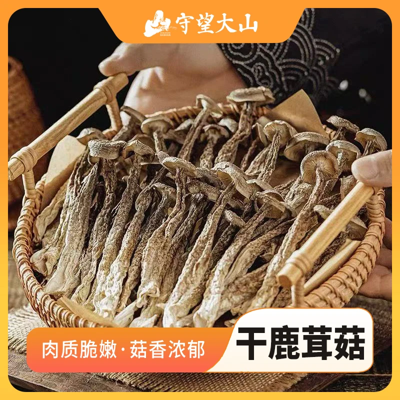 守望大山高山鹿茸菇无硫干货肥厚炒菜炖煲鸡汤鲜美炒肉营养美味