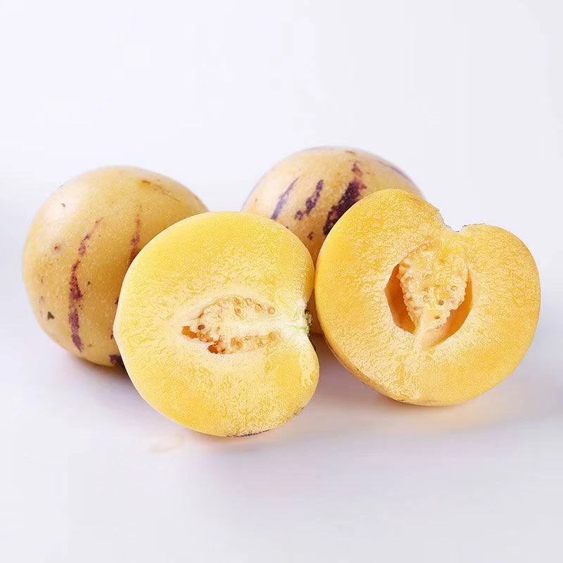 云南石林果树上熟圆果当季新鲜黄肉人参果孕妇应季低糖特大水果