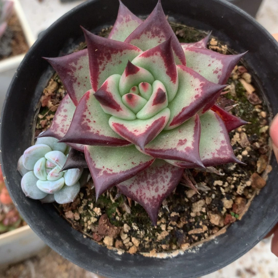 哈哈哈哈哈哈哈哈哈哈哈