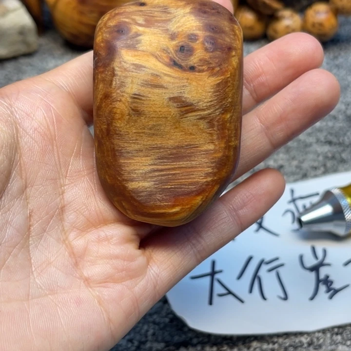 柏木（崖柏）崖柏279