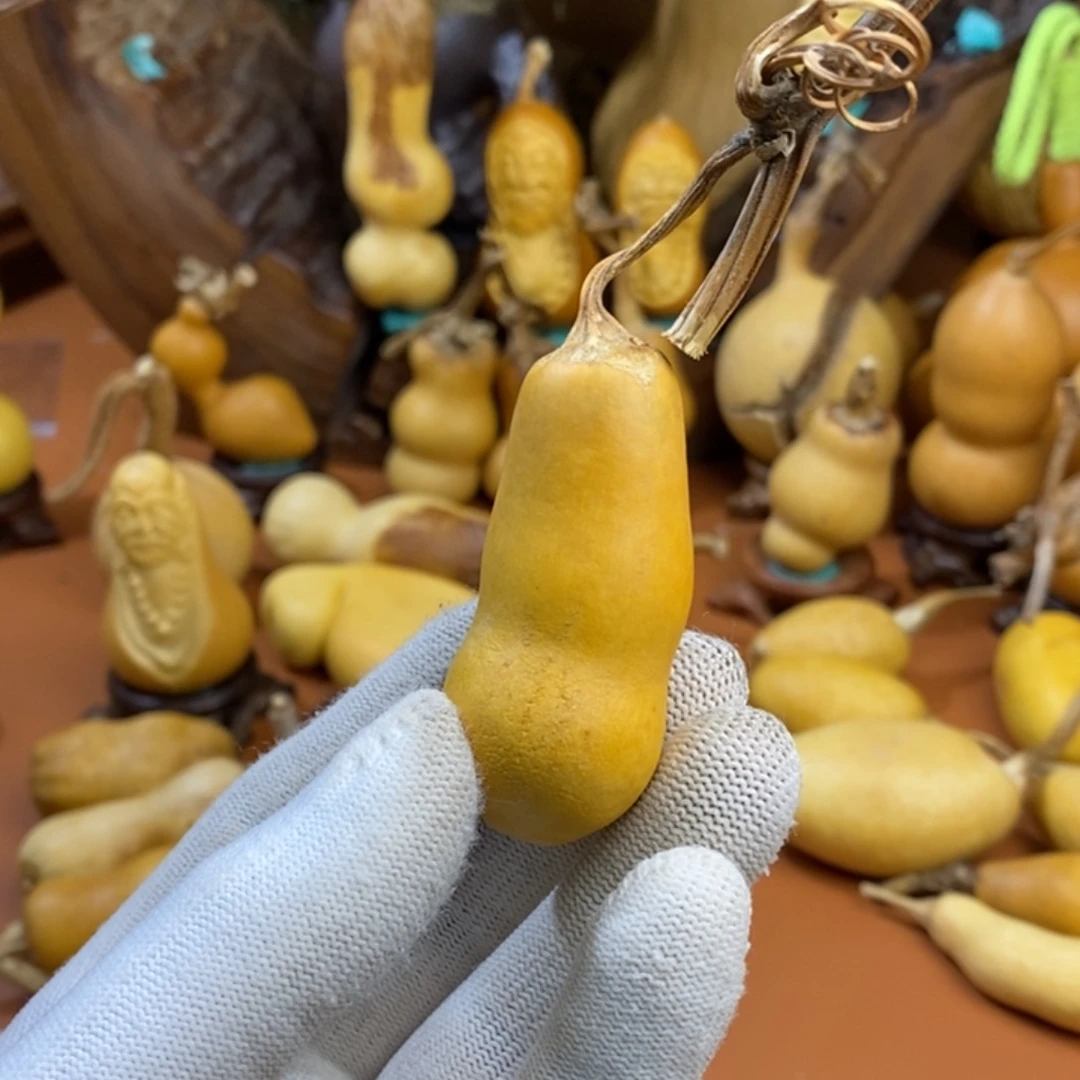 聆***月教练咯教练哭教练咯教练