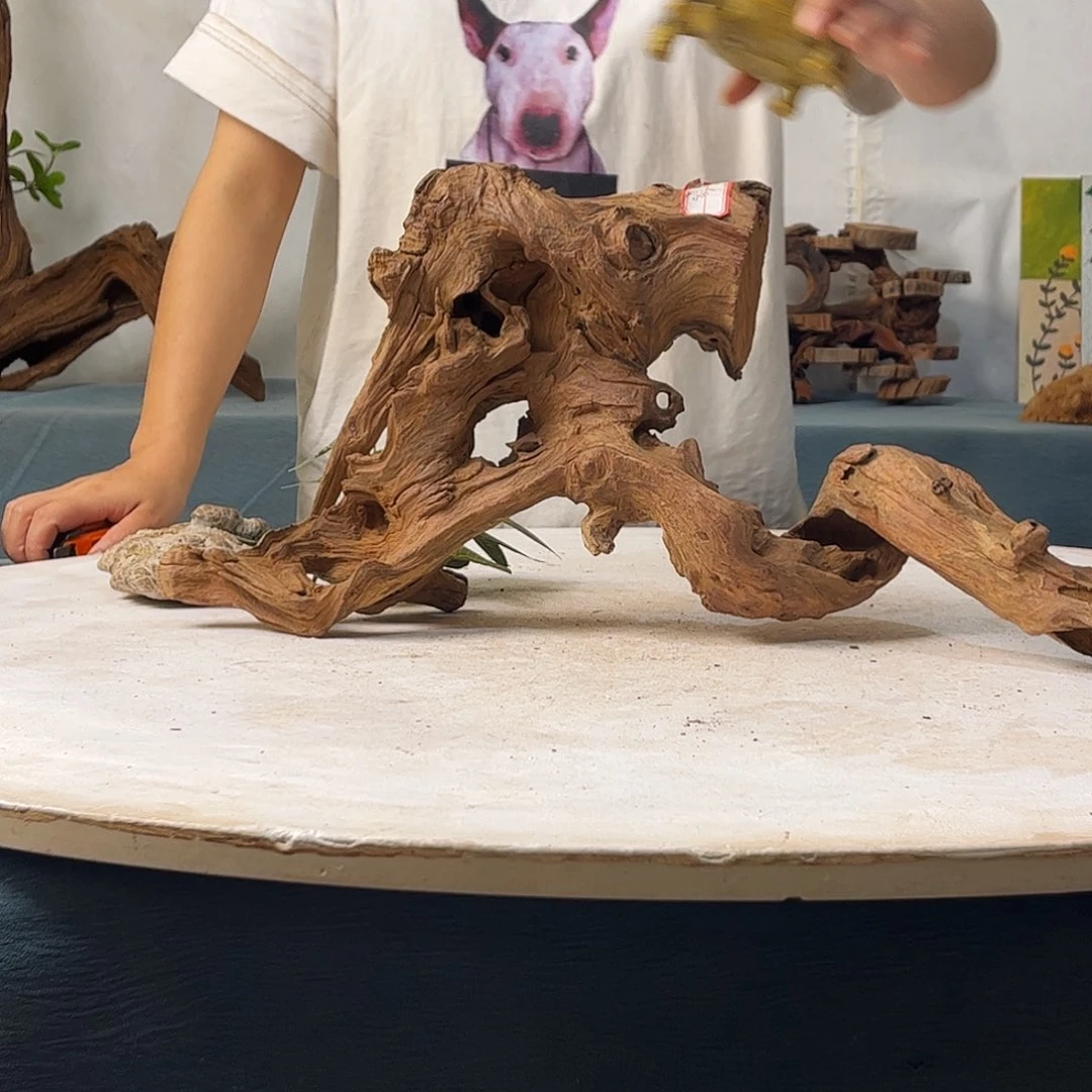 沉木造景寄居蟹景