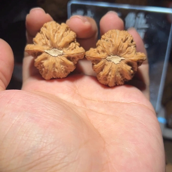 吊坠文玩核桃36石膏底密纹红宝石