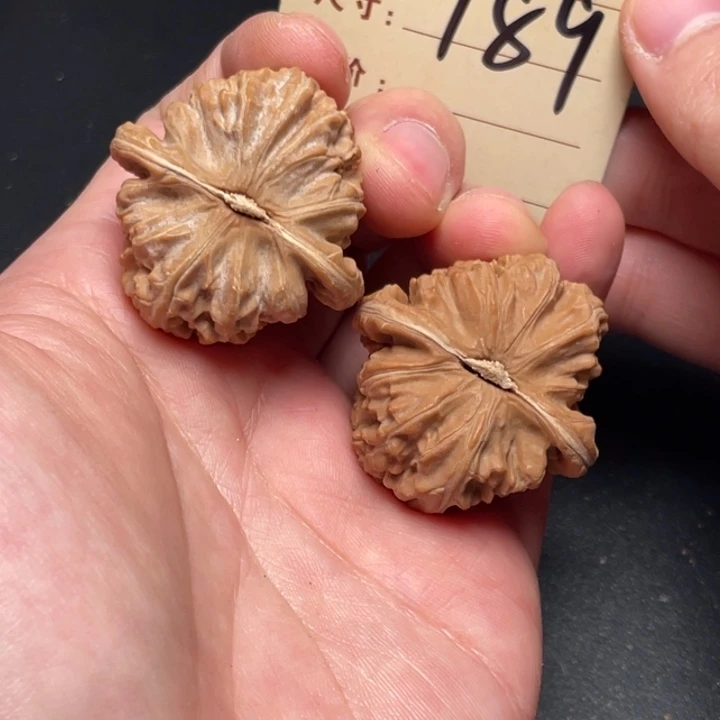 文玩核桃把件三角白37尺全品白茬189