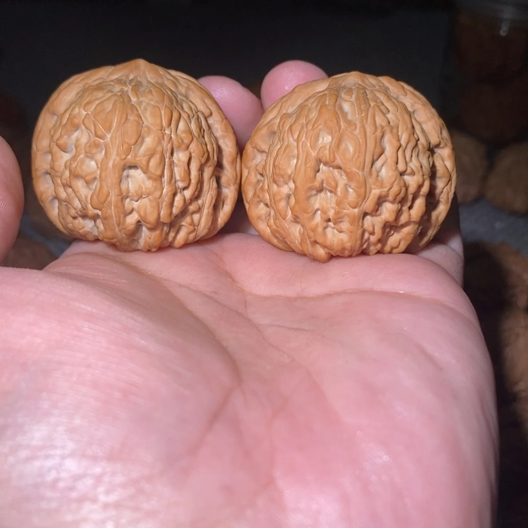 桃核吊坠44泥鳅背