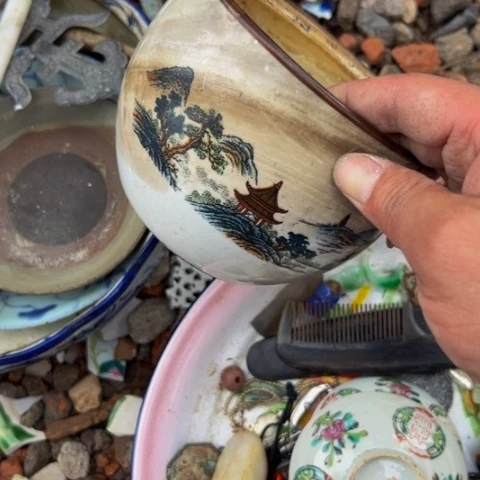 杂色豆（科檀/科特迪瓦檀木）大**?