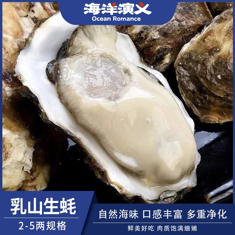 【海洋演义】乳山生蚝 （2-5两/个）7.5斤 商城专享