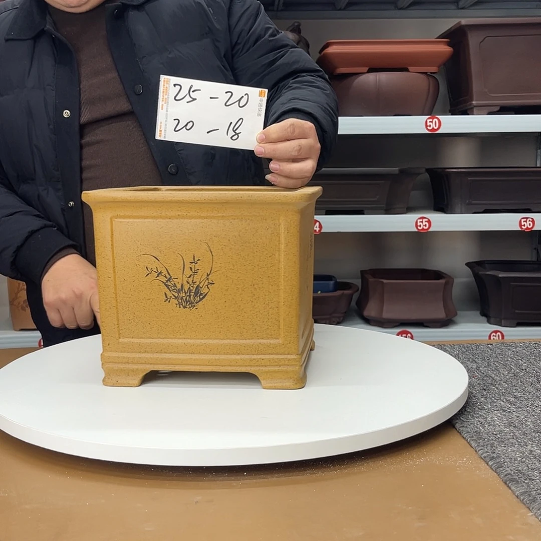 花盆紫砂这是什么