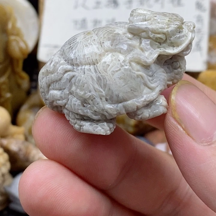 颈饰未镶嵌硅化珊瑚（珊瑚玉）有瑕 小摆件