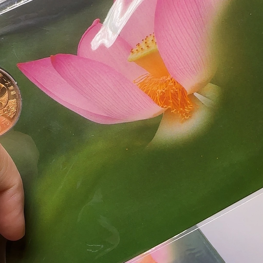 熊猫夏卡福利出特价