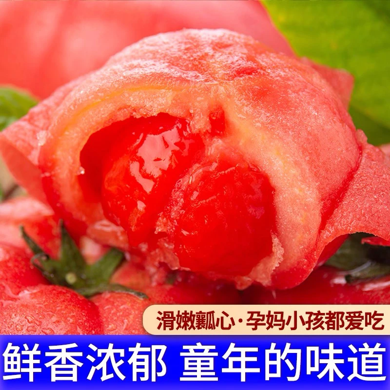 水果草莓西红柿 中果番茄新疆乌鲁木齐番茄同城配新疆维吾尔自治区