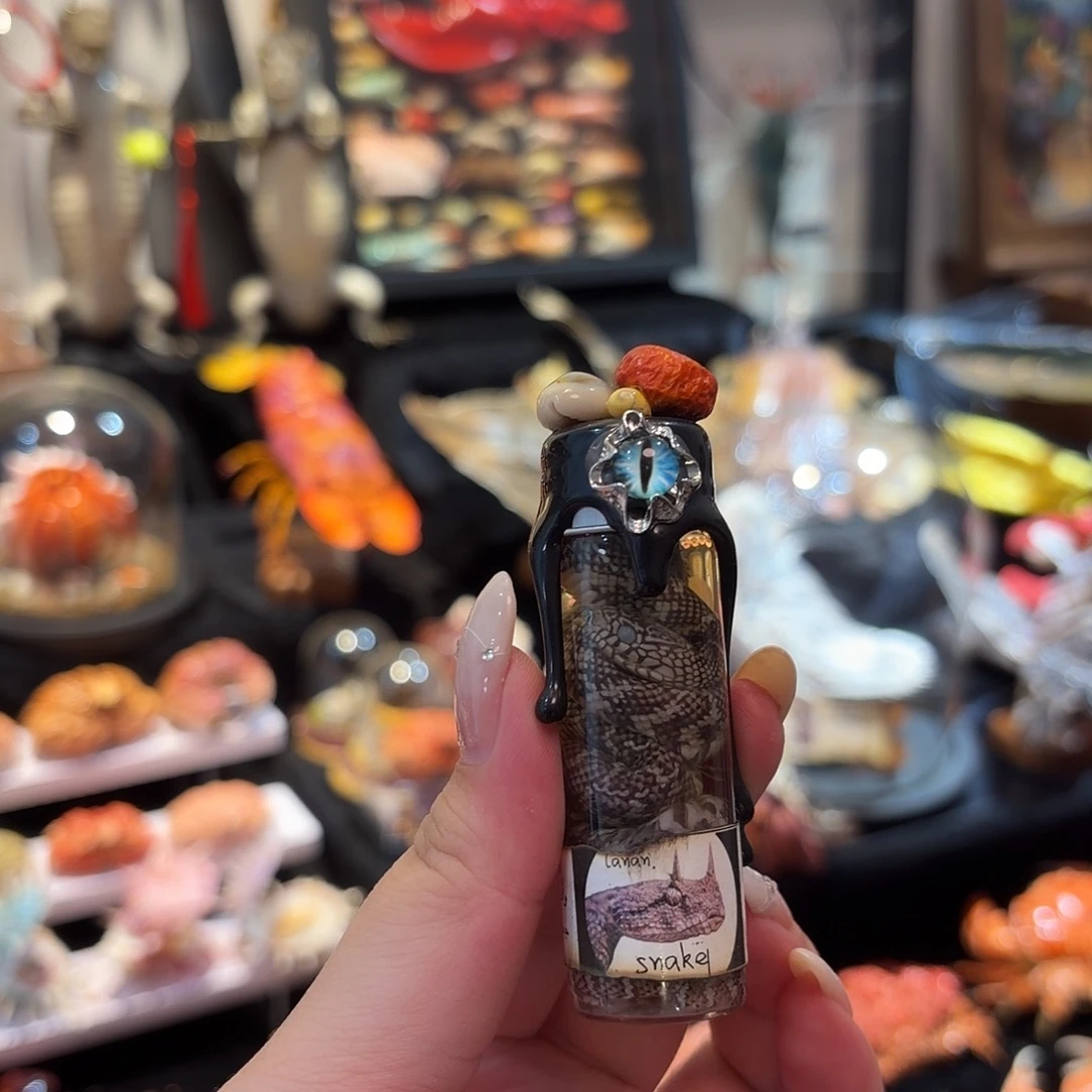 真实的小蛇瓶标本