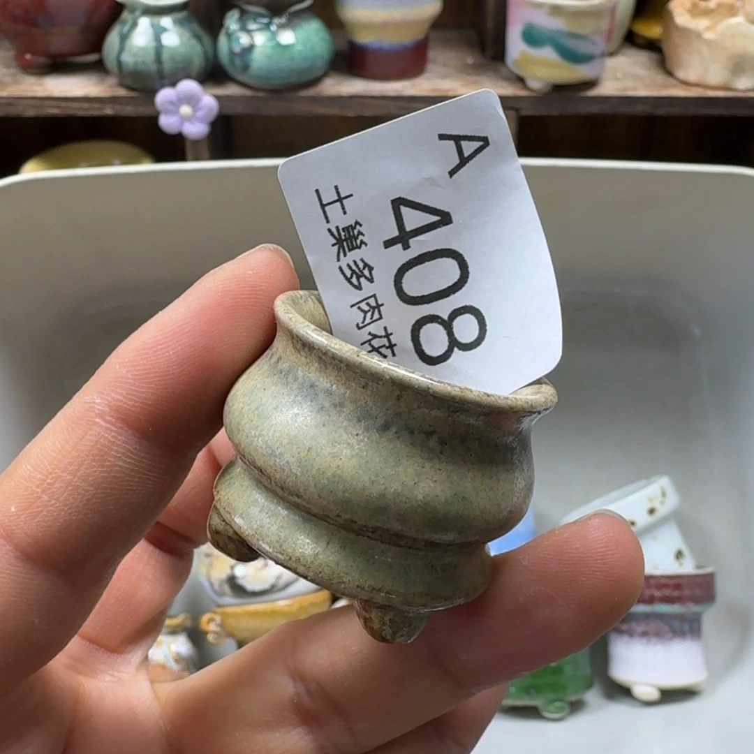 夏***之陶瓷艺术品设计与制作