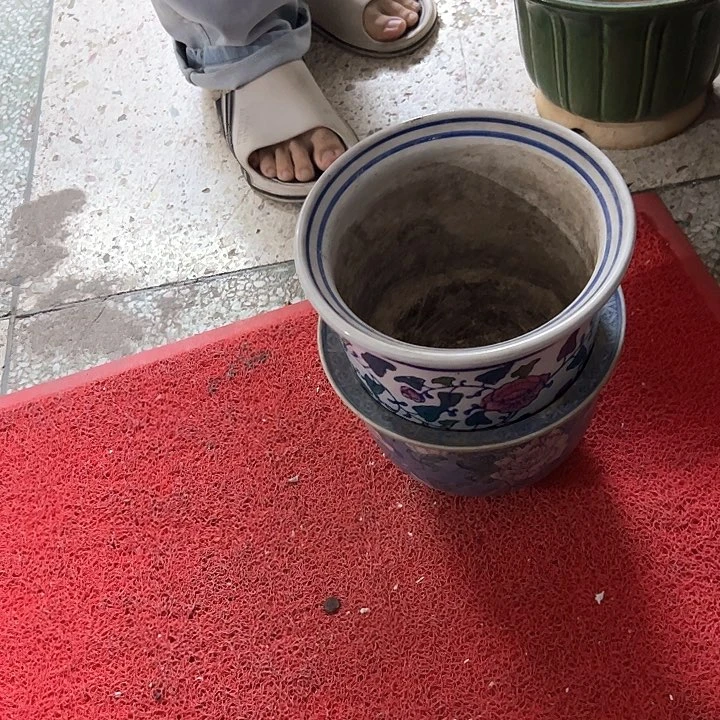 红陶大*门。。。。。。。。。。。