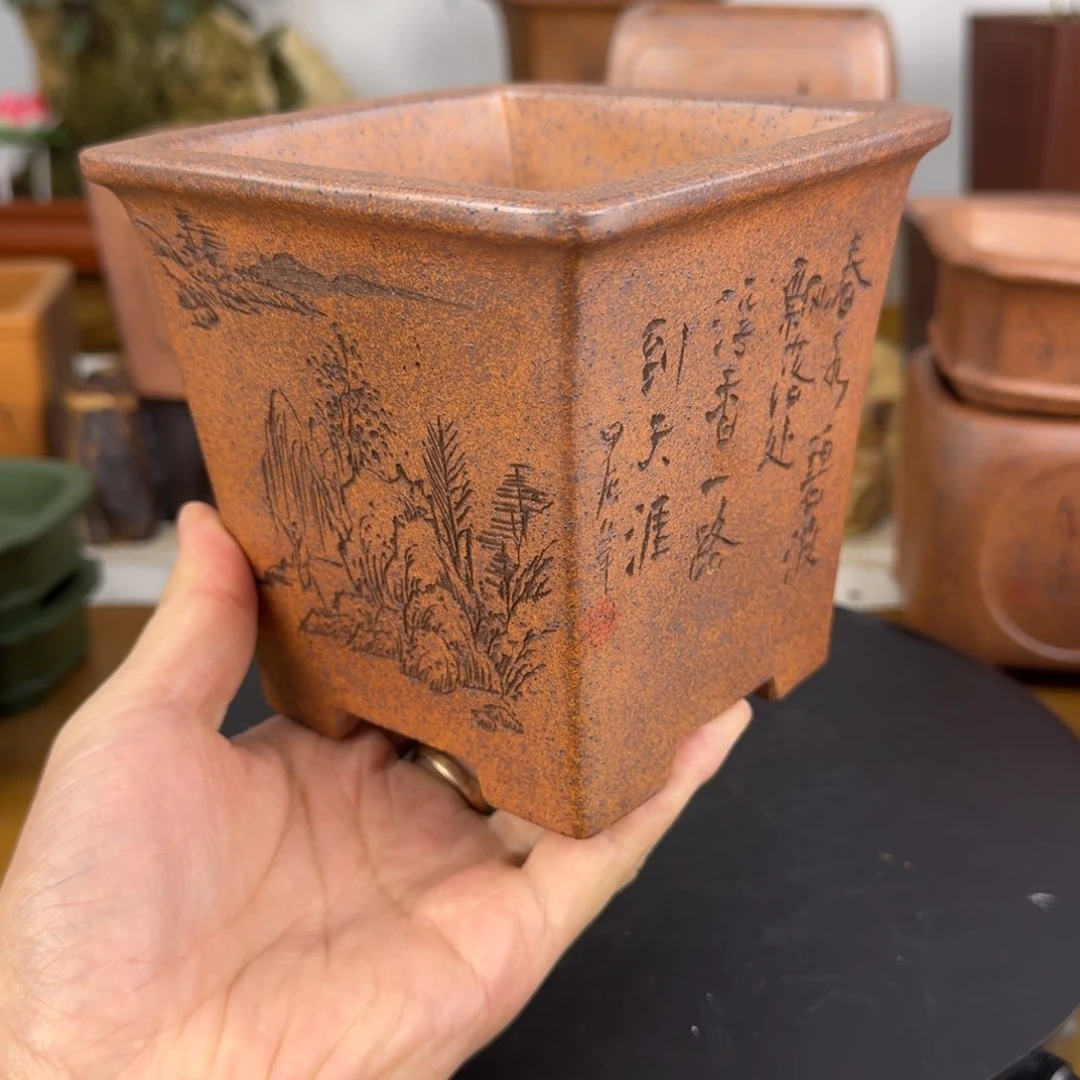 紫砂花盆言****a紫砂花盆