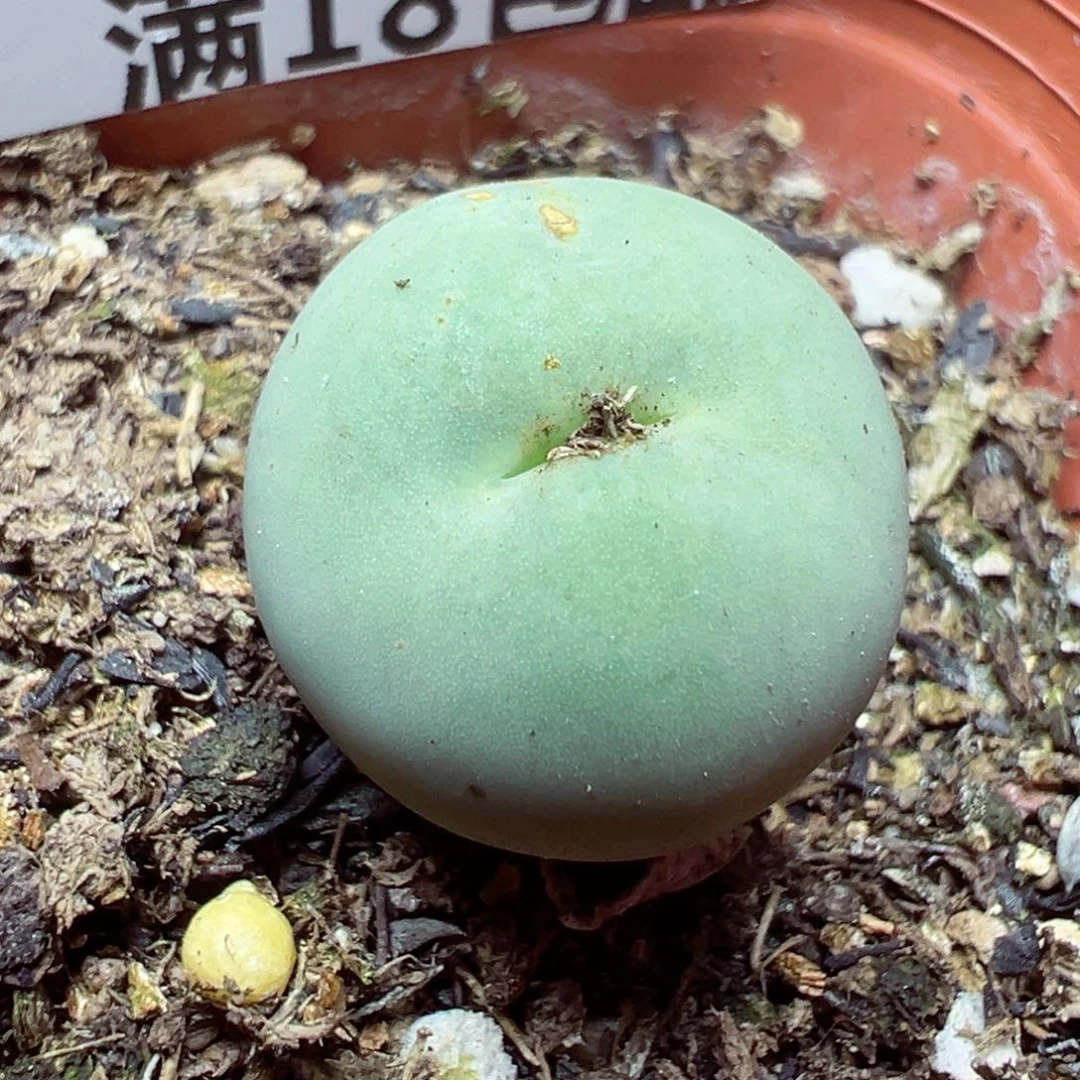 【闪购商品】 1319。