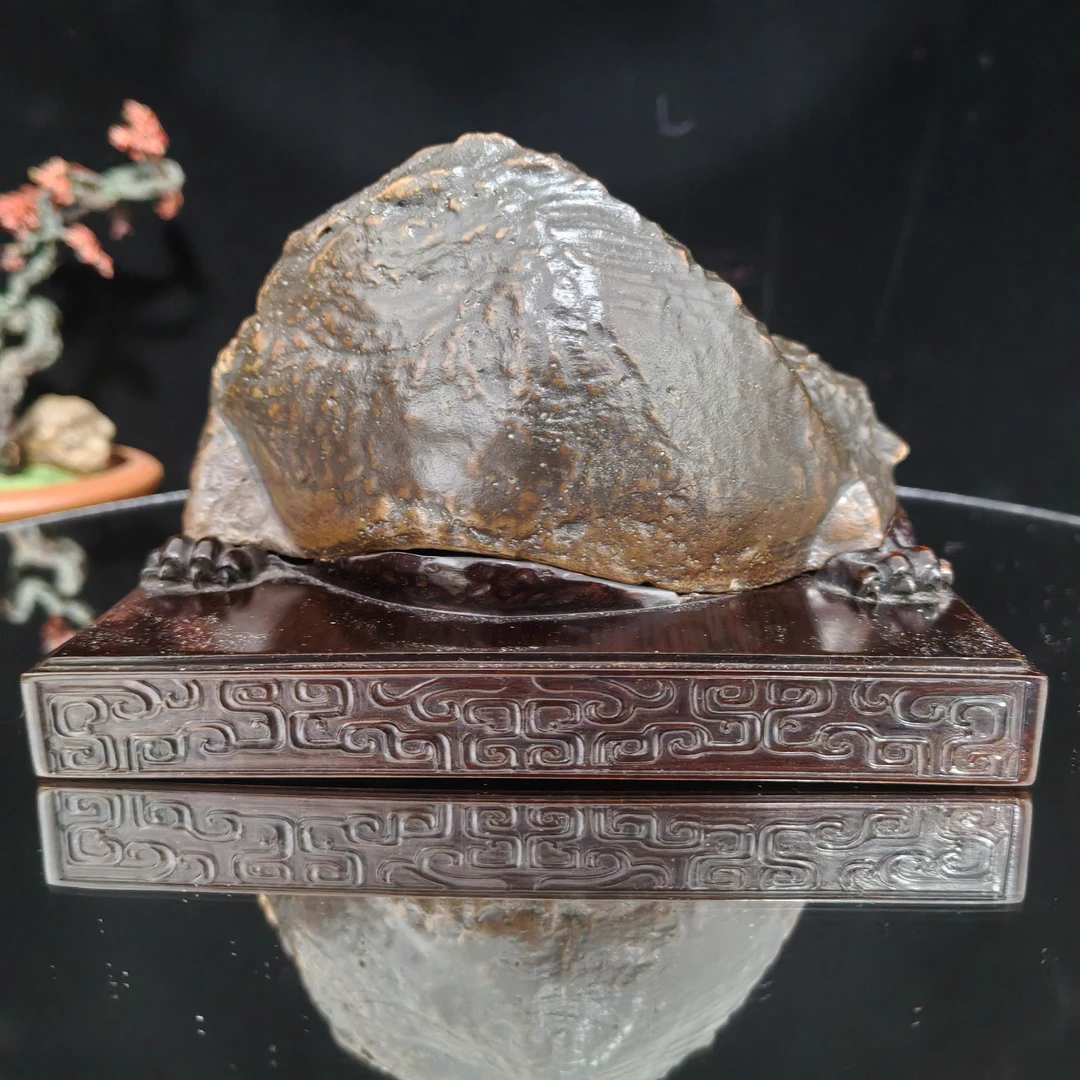 金蟾衔露   新疆戈壁石  长14宽14 高10