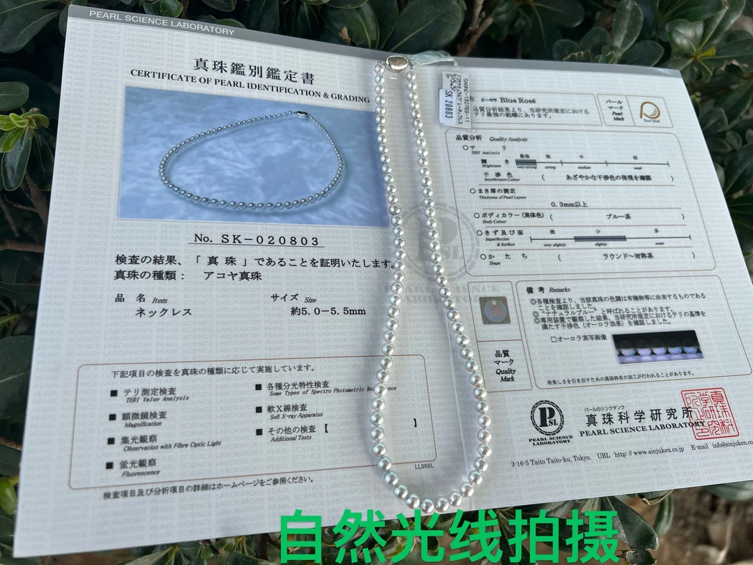 “蓝玫瑰”真多麻海水珍珠 5-5.5mm（真科研）蓝灰色极光珠珠经典百搭