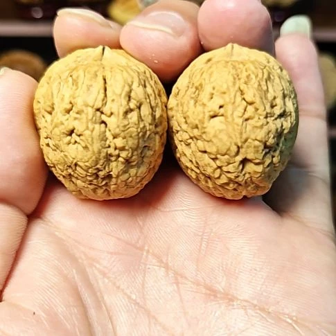 文玩核桃把件宝瓶（10）