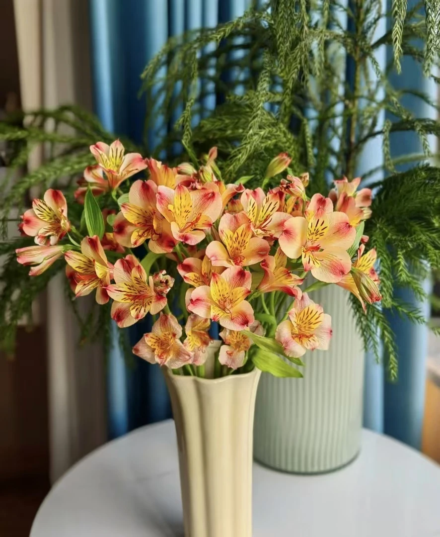 云南鲜花 六初花 水仙百合橙色 p