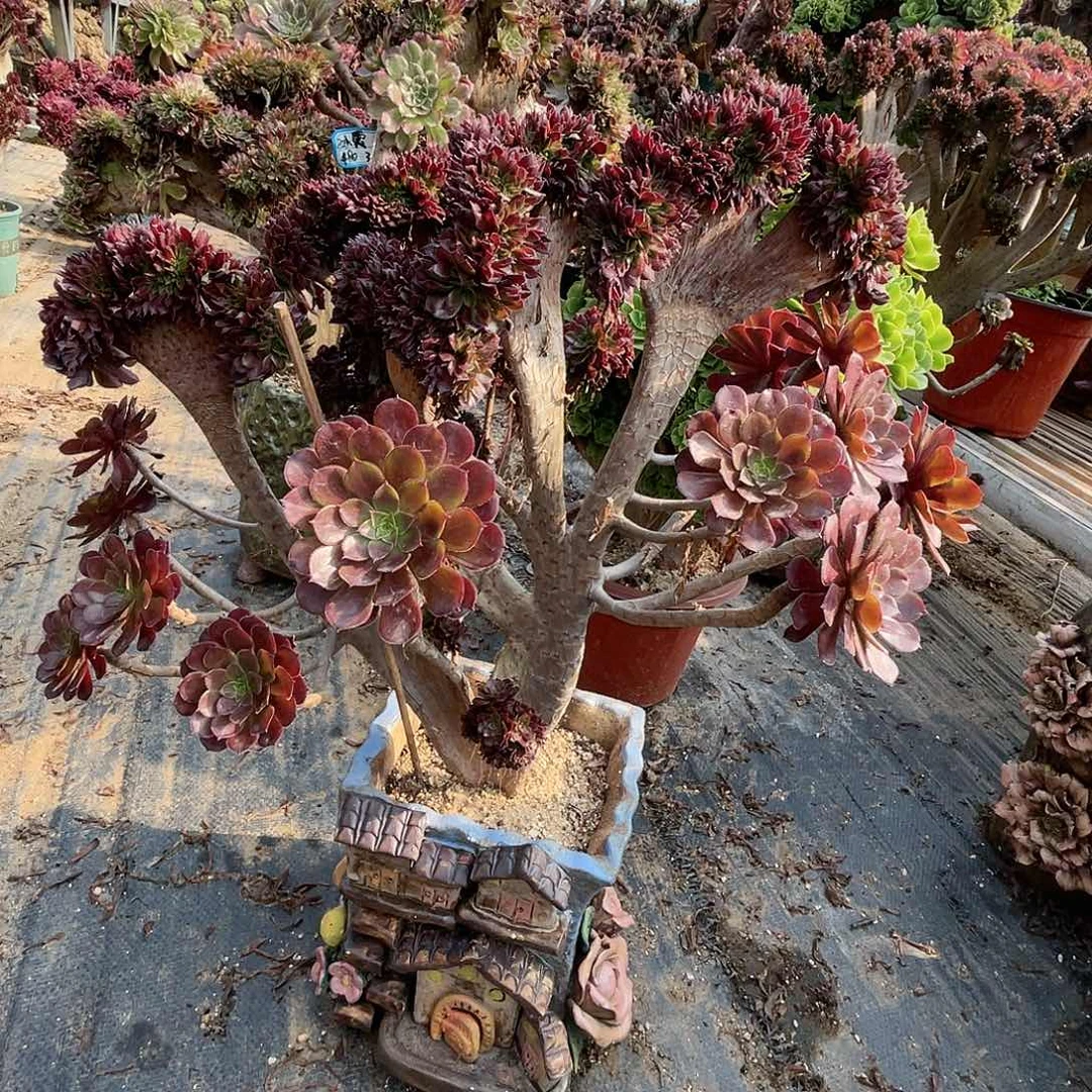 【闪购商品】全部花朵黑铜壶