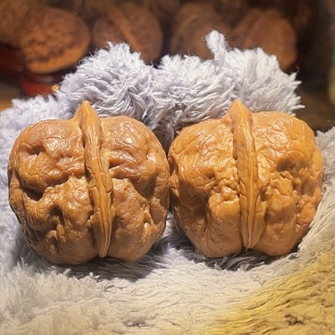 奔***河文玩核桃把件金蟾疙瘩包带彩42