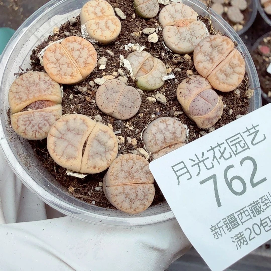 不能给孩子买什么762哈哈