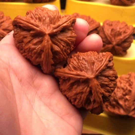 老***常文玩核桃吊坠核桃