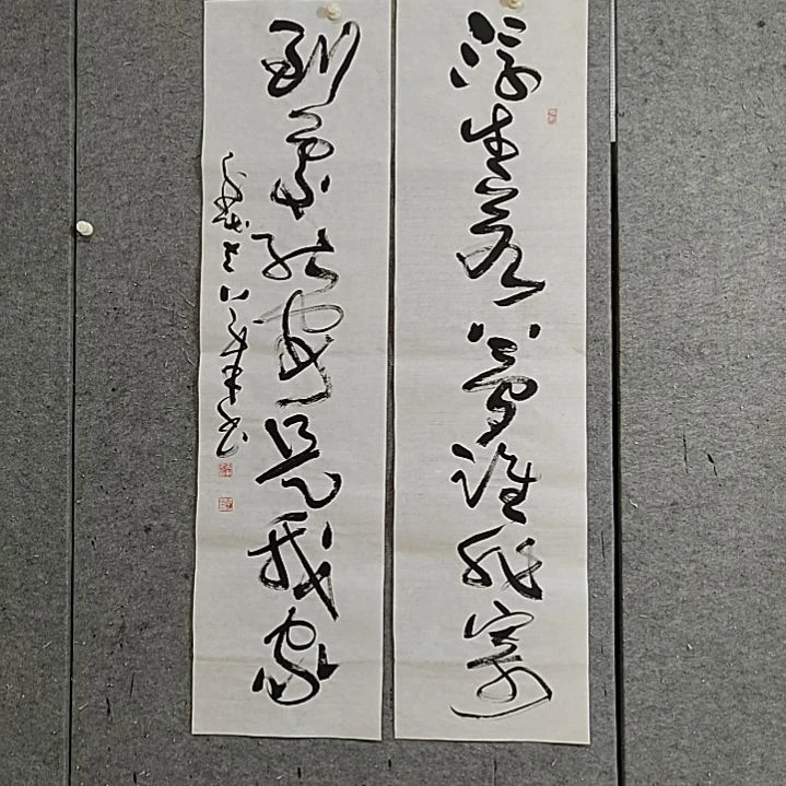 书法宋秉民。四尺对开。到处能安是我家